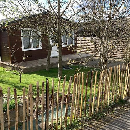 Chalet Charmant Monika Avec Piscine Yvoir Екстериор снимка